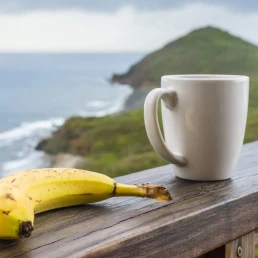 Le commerce équitable concerne-t-il uniquement le café et les bananes ?